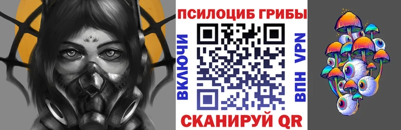 Псилоцибиновые грибы мухоморы  Кедровый 